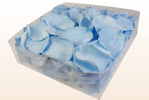 Confezione da 2 litri