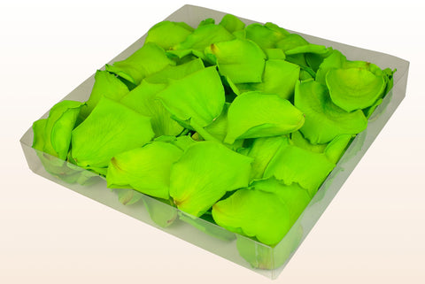 Confezione da 1 litro