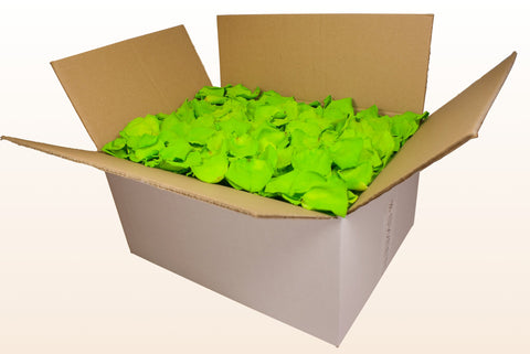 Confezione da 24 litri