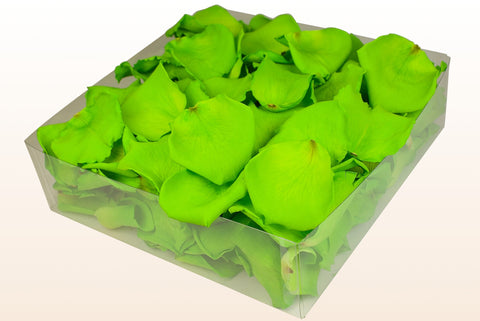 Confezione da 2 litri