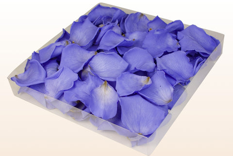 Confezione da 1 litro