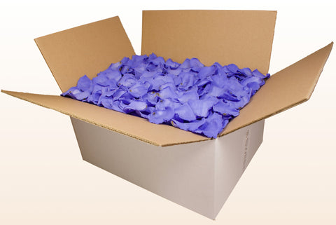 Confezione da 24 litri