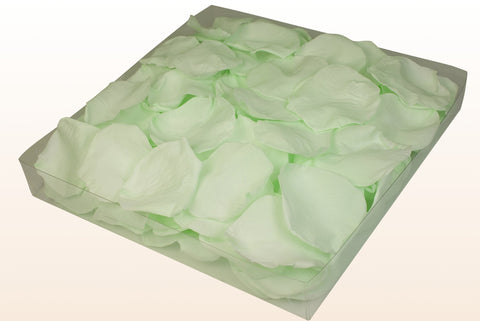 Confezione da 1 litri