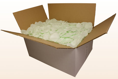 Confezione da 24 litri