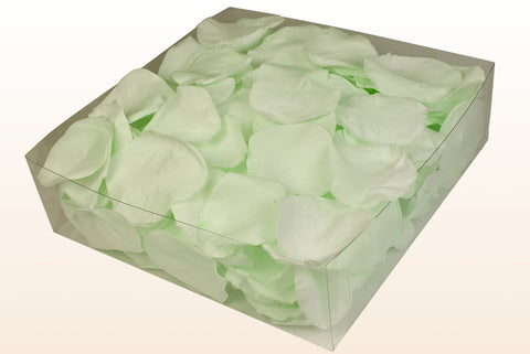 Confezione da 2 litri