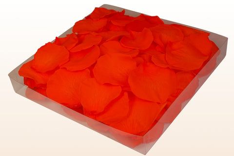 Confezione da 1 litro