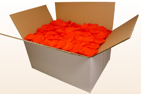 Confezione da 24 litri