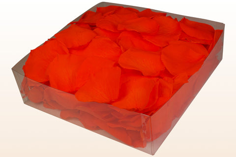 Confezione da 2 litri