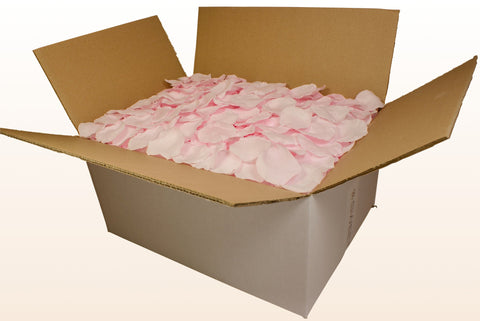 Confezione da 24 litri