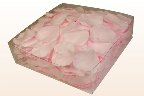 Confezione da 2 litri