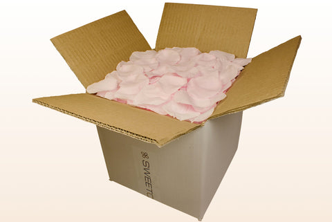 Confezione da 8 litri