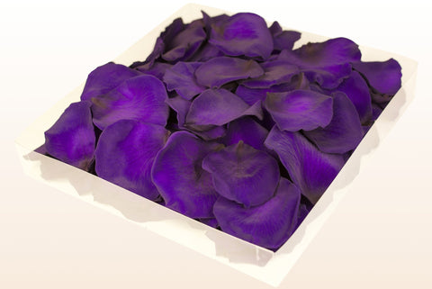 Confezione da 1 litro