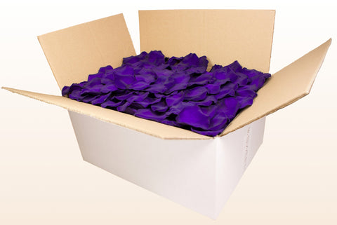 Confezione da 24 litri