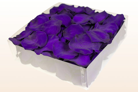 Confezione da 2 litri