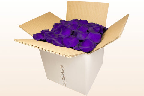 Confezione da 8 litri