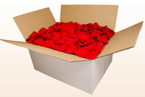 Confezione da 24 litri