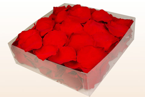 Confezione da 2 litri