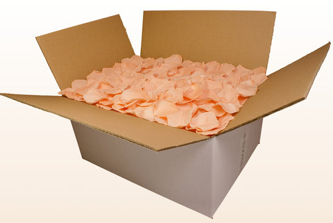 Confezione da 24 litri