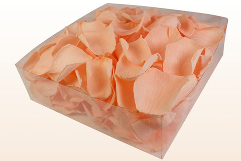 Confezione da 2 litri