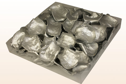 Confezione da 1 litro