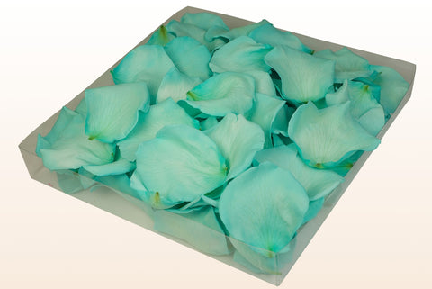 Confezione da 1 litro