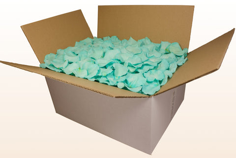 Confezione da 24 litri