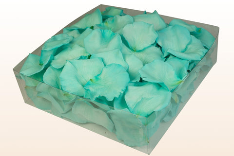 Confezione da 2 litri