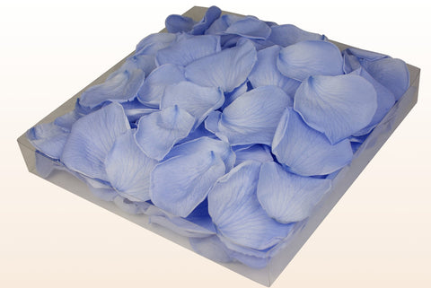 Confezione da 1 litro