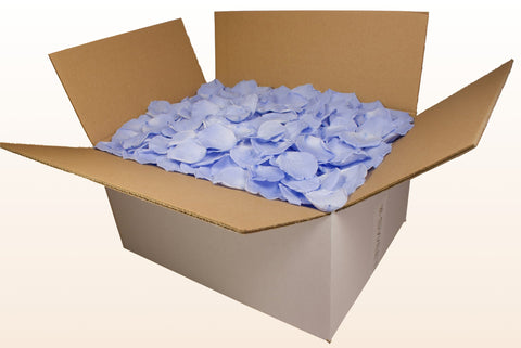 Confezione da 24 litri