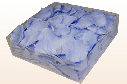 Confezione da 2 litri