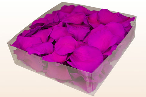 Confezione da 2 litri