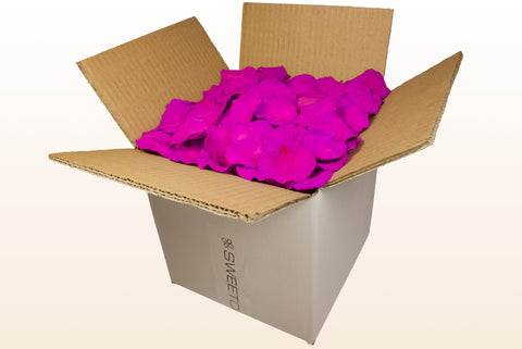 Confezione da 8 litri