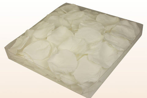 Confezione da 1 litro