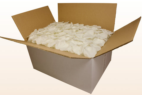 Confezione da 24 litri