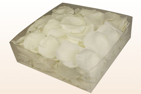 Confezione da 2 litri