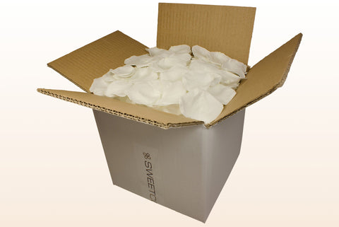 Confezione da 8 litri