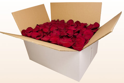 Confezione da 24 litri