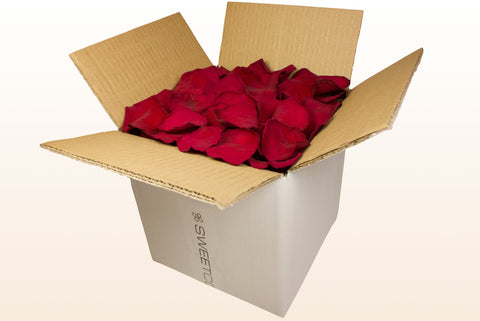 Confezione da 8 litri