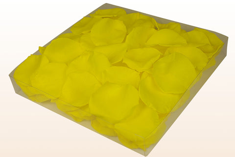 Confezione da 1 litro