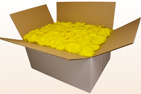 Confezione da 24 litri