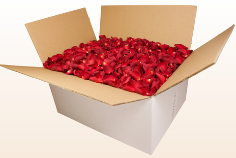 Confezione da 24 litri