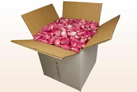 Confezione da 8 litri