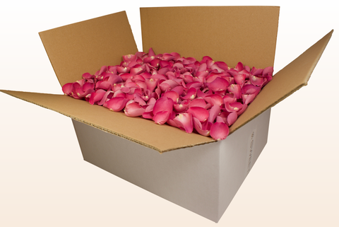 Confezione da 24 litri