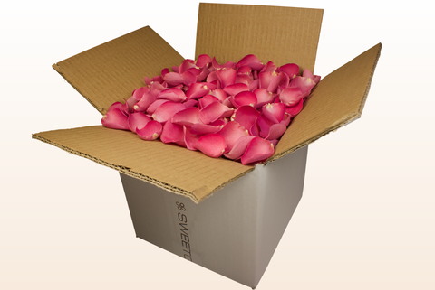 Confezione da 8 litri