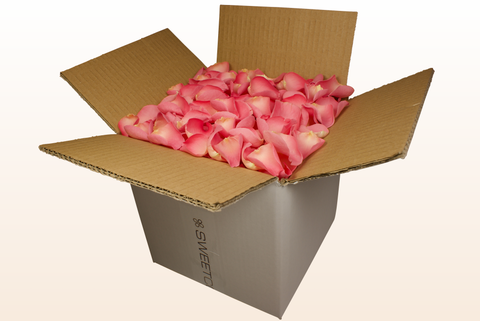 Confezione da 8 litri
