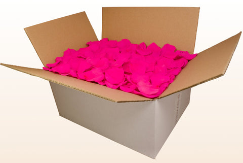 Confezione da 24 litri