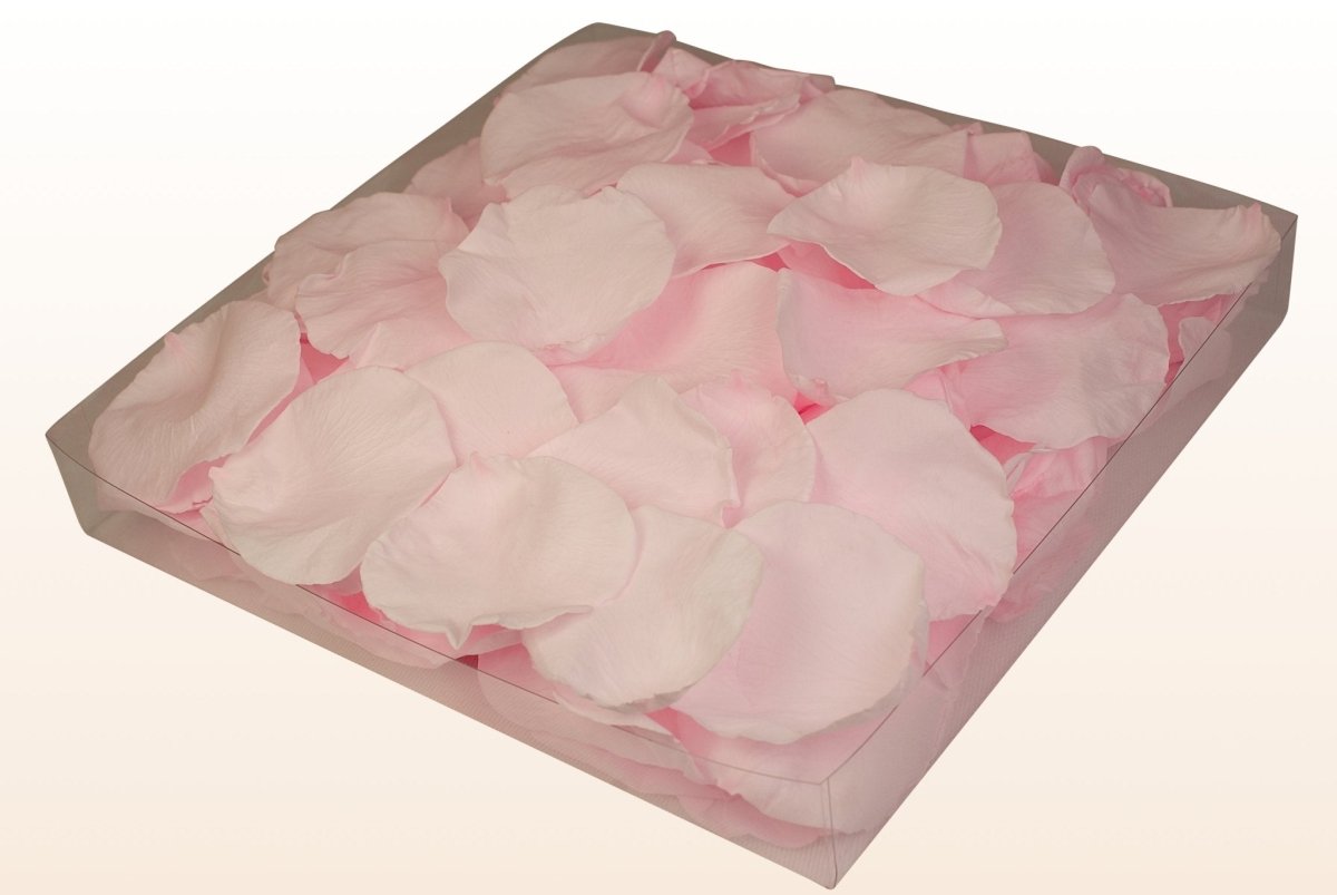 300PZ PETALI DI fiori rosa del tessuto bomboniera per decorazione della 300PZ PETALI DI fiori rosa del tessuto bomboniera per decorazione della