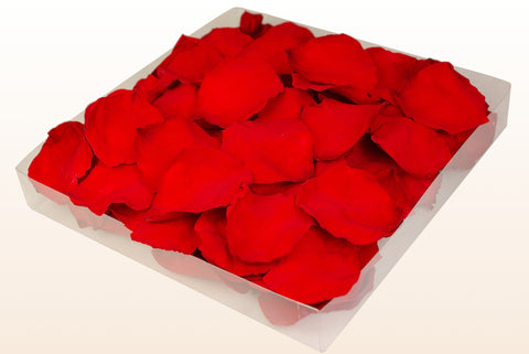 Confezione da 1 litro