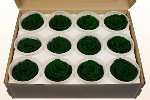 Taglia S, 12 rose