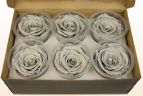 Taglia XL, 6 rose